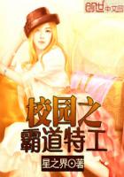 校園之霸道特工