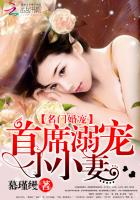 名門婚寵:首席溺寵小小妻 名門婚寵:首席溺寵小小妻