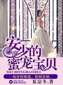 安少的蜜寵寶貝 安少的蜜寵寶貝