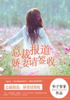 總裁報道，嬌妻請簽收