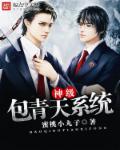 神級包青天係統 神級包青天係統