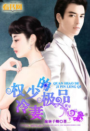 權少的極品冷妻 權少的極品冷妻