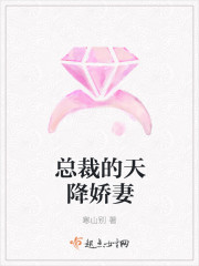 總裁的天降嬌妻 總裁的天降嬌妻