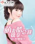 萌妻擒拿酷總裁 萌妻擒拿酷總裁