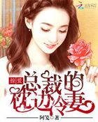 掠愛:總裁的枕邊冷妻 掠愛:總裁的枕邊冷妻