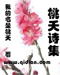 桃夭詩集 桃夭詩集