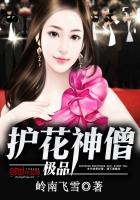 極品護花神僧 極品護花神僧