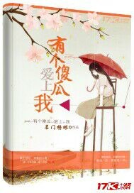 有個傻瓜愛上我 有個傻瓜愛上我