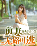前妻無路可逃 前妻無路可逃