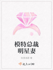 模特總裁明星妻