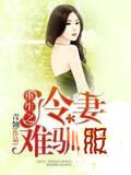 重生之冷妻難馴服