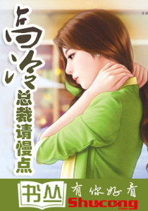 如狼似虎：高冷總裁請慢點