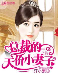總裁的天價小妻子