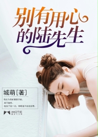 別有用心的陸先生 別有用心的陸先生