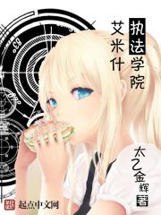 艾米什執法學院