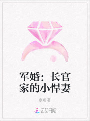 軍婚:長官家的小悍妻 軍婚:長官家的小悍妻