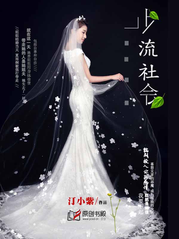 上流社會 上流社會