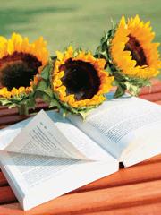 護理倫理學 護理倫理學