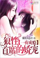 一夜成癮：狼性首席的嬌寵