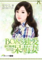 豪門隱婚：BOSS獨愛呆萌妻