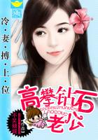 少主的二嫁新娘：高攀鑽石老公