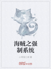 海賊之強製係統