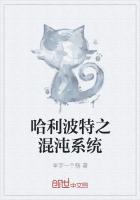 哈利波特之混沌係統