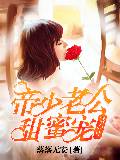 婚心計：帝少老公甜蜜寵