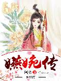 嬿婉傳