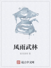 風雨武林