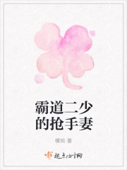 霸道二少的搶手妻