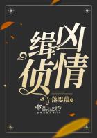 緝凶偵情