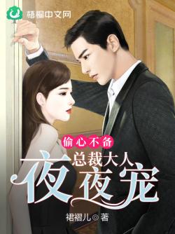 偷心不備：總裁大人夜夜寵