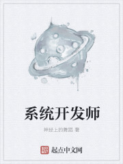 係統開發師