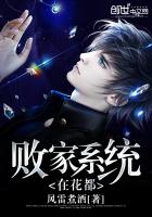 敗家係統在花都