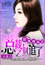 前妻難搞定：總裁，別追了