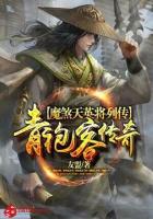 青袍客傳奇