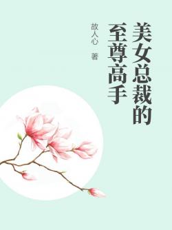 美女總裁的至尊高手