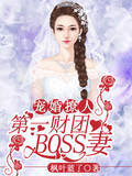 寵婚撩人，第一財團BOSS妻