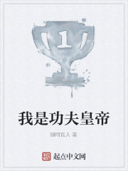 我是功夫皇帝