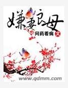 嫌妻良母