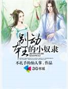 別動本王的小奴隸