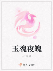 玉魂夜魄