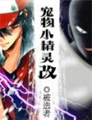 寵物小精靈之改