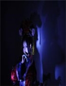 女鬼還魂之暗樓