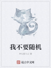 我不要隨機（隨機從海賊開始）