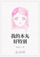 我的本丸好特別