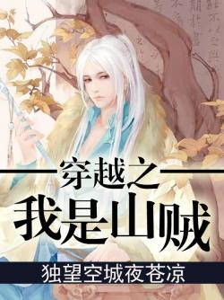 穿越之我是山賊