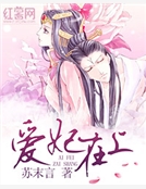 愛妃在上