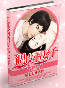 總裁的調皮小妻子